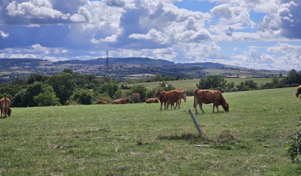De vallons en châteaux à Saint-Jean-de-Touslas - Beauvallon - 1