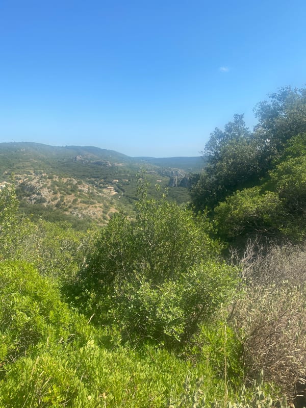 Olivettes Trail en adembenemend uitzicht op het meer - Vailhan - 1