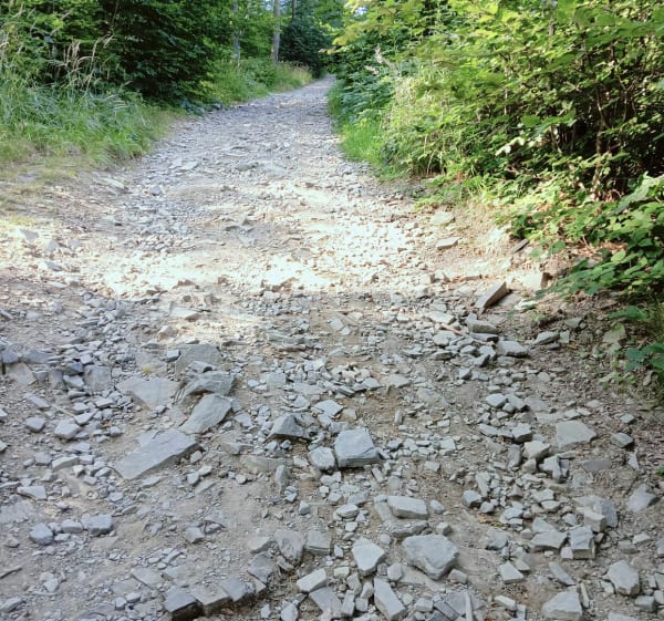 Błatnia z Wapiennicy - Bielsko-Biała - 1