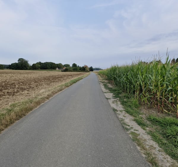 Vers Pont-à-Marcq par la voie verte et autres voies - Avelin - 1