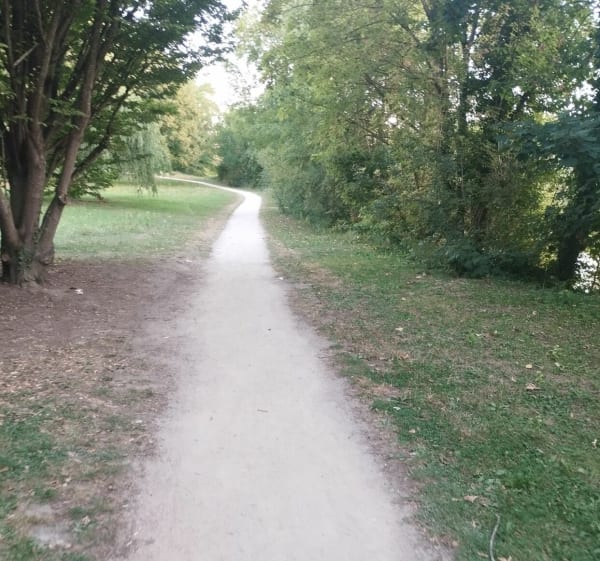 Promenade le long de la Seine autour de Mantes-la-Jolie - Mantes-la-Jolie - 1