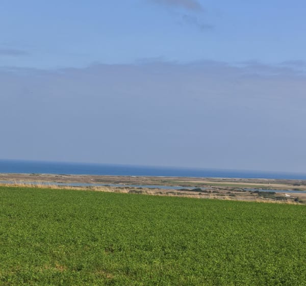 Tranquille entre bord de mer et marais depuis Cayeux - Cayeux-sur-Mer - 1