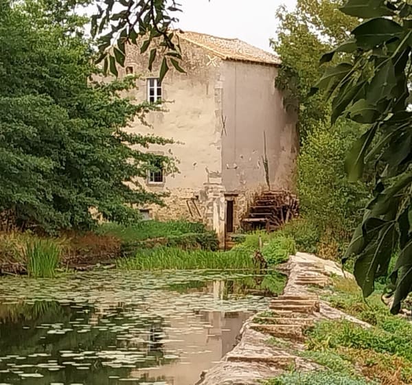 Balade du gué de Flais - Gourgé - 1