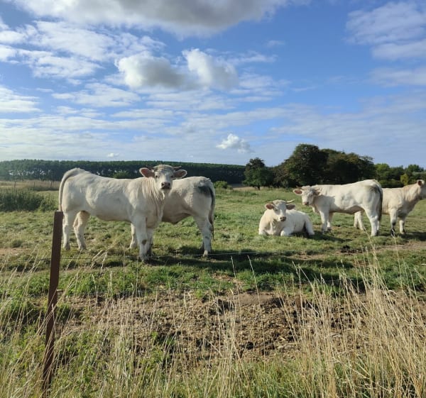 Balade en campagne autour de Sailly-au-Bois - Mathieu  - 1