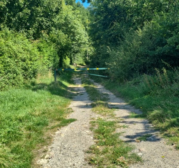 Balade à Longperrier - marie - 1
