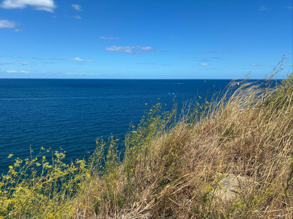 Racou-strand via het douanepad - Collioure - 1