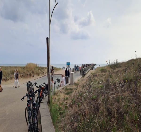 Entre terre et mer sur St Jean-de-Monts - Saint-Jean-de-Monts - 1