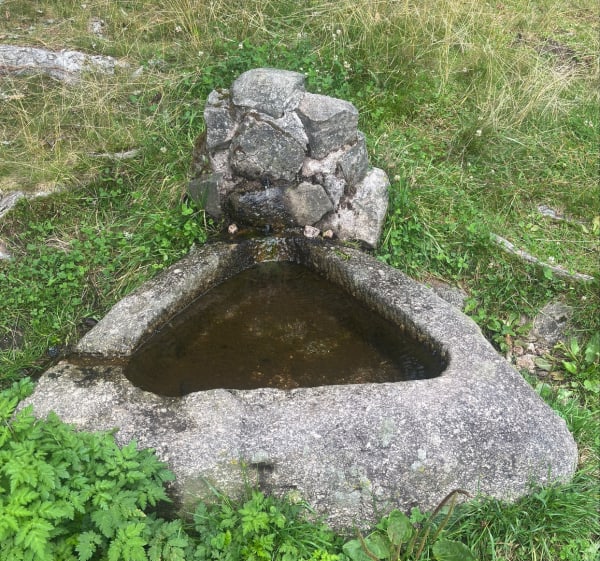 Du Gouttridos au Lac de Lispach - Xonrupt-Longemer - 1