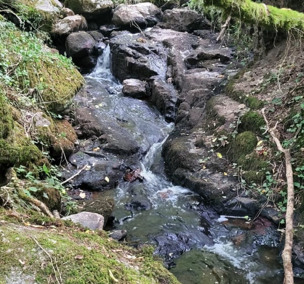 Gorges de Narvau - Lormes - 1