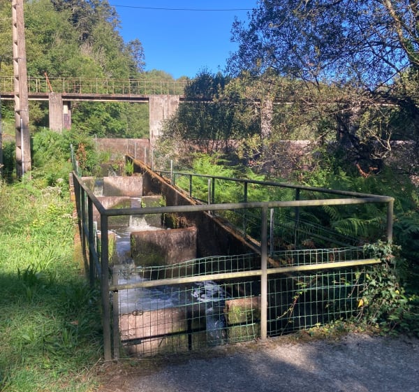 Bois de Tremelin et île de Locastel - nathalie - 1