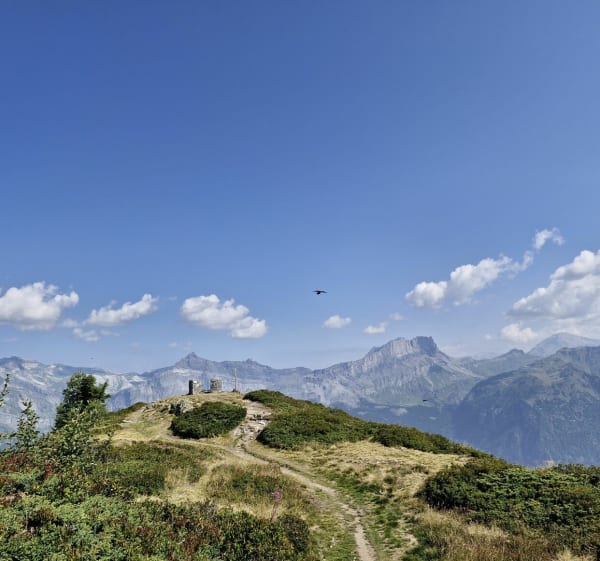 Sommet du Prarion depuis télécabine du Prarion - Saint-Gervais-les-Bains - 1