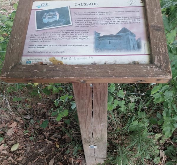 Au cœur de la forêt près de Lac Ladoux - Antonne-et-Trigonant - 1