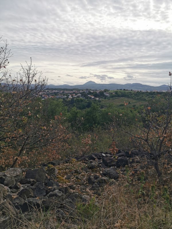 Entre vignes et patrimoine local de Cébazat à Châteaugay - Châteaugay - 1