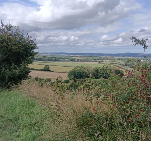 Campagne des trois pays - Séverine - 1