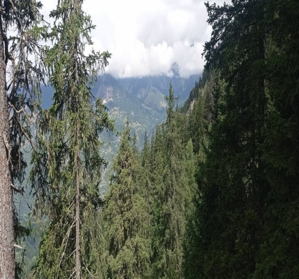 Du lac des Rosieres à l'abri du Bec de l'Aigle - anne - 1