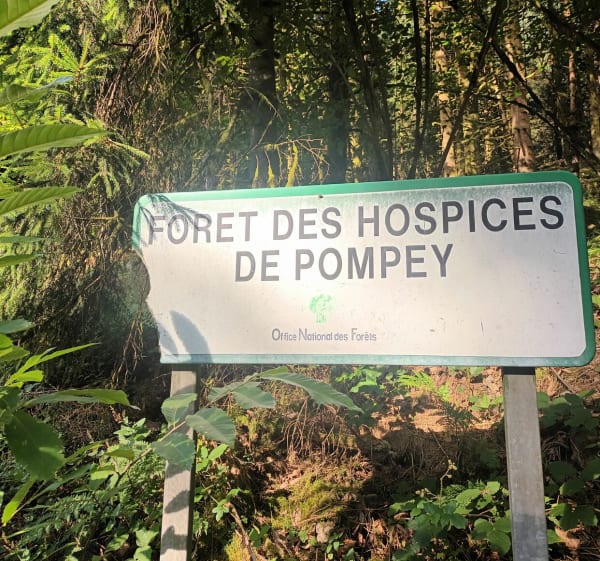 Balade à la cabane des chasseurs depuis Ban-de-Laveline - Ban-de-Laveline - 1