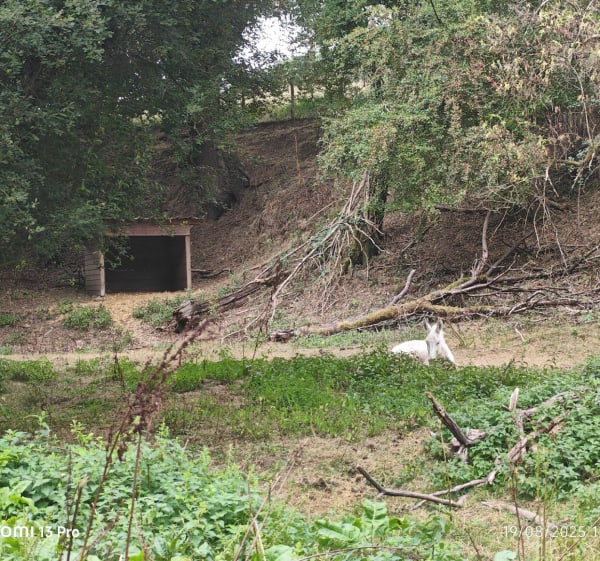 Boucle autour du Loroux - Le Loroux-Bottereau - 1
