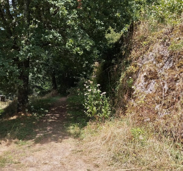 Sentier du meunier à Corrèze - Corrèze - 1