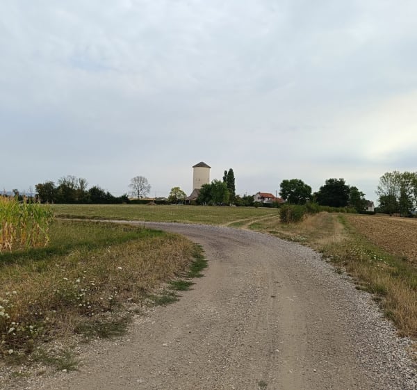 Gravel entre Farges-lès-Chalon et Saint Loup Géange - Farges-lès-Chalon - 1