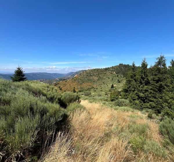 La Croix de Bauzon et vue sur l’Ardèche méridionale. - Borne - 1