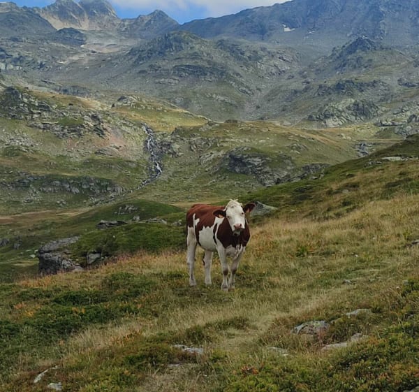 Montée au Lac curtales - Valmeinier - 1