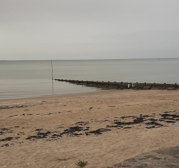 Le long des carnets - Les Moutiers-en-Retz - 1