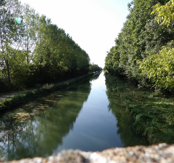 Au bord du canal de bourgogne à Saint Sauveur - julie - 1