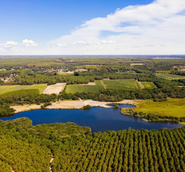 Moliets à Vieux-Boucau via l'étang du Moisan - Moliets-et-Maa - 1