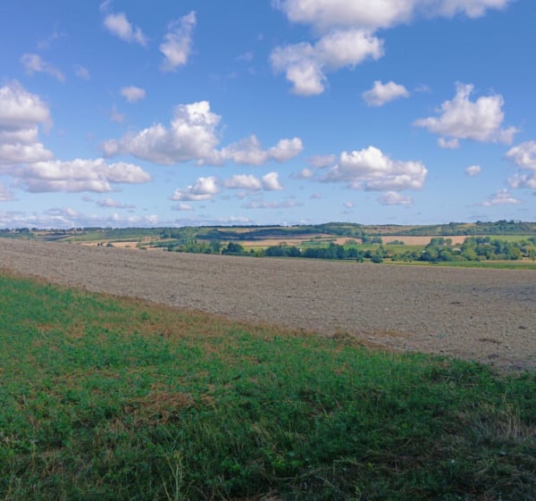 La belle campagne Liquoise - Herbinghen - 1