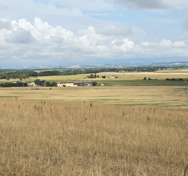A la découverte de la campagne peyrolaise - Peyrole - 1