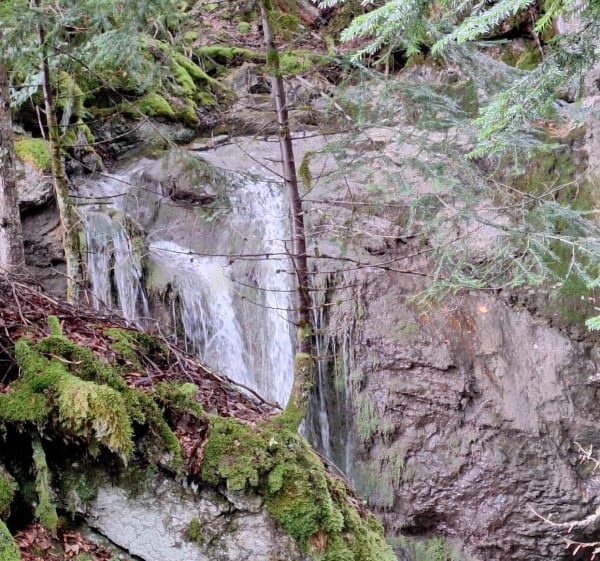 Cascade du Bayard - La Chapelle-d'Abondance - 1