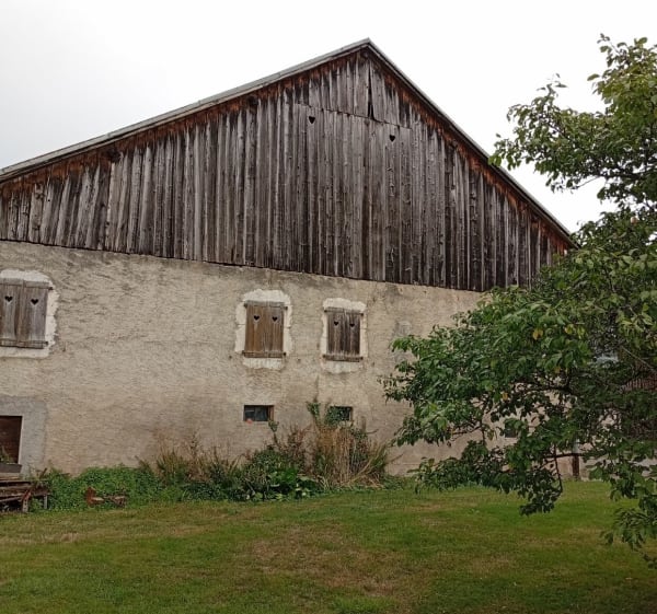 Balade en campagne de Féternes - Féternes - 1