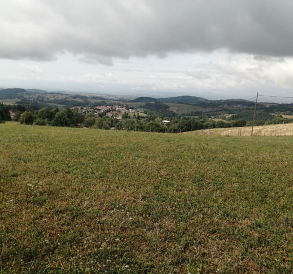Montchal au départ de Sainte-Agathe-en-Donzy - Sainte-Agathe-en-Donzy - 1