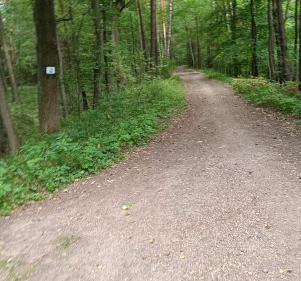 Ligota Paruszowiec Kamień i z pwrotem rower - Rybnik - 1