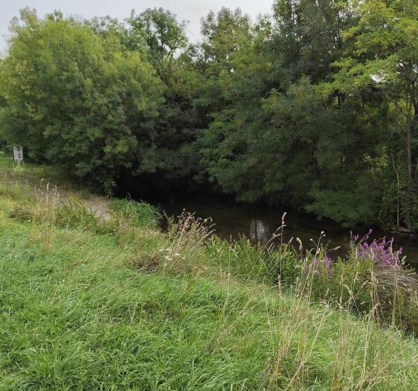 Bord des Mauves à Baulette - Baule - 1
