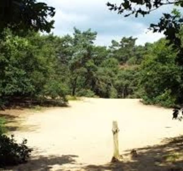Uurtje wandelen door het groen van Venray - Venray - 1