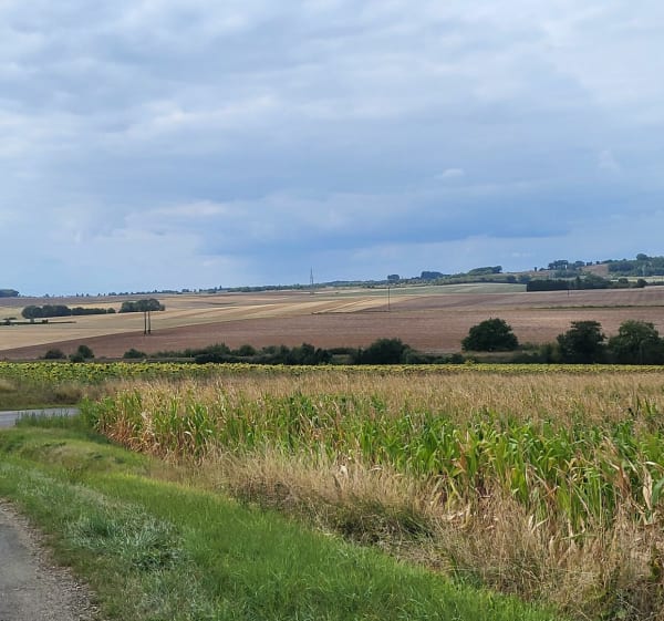 Boucle de La Garancière - Champfleur - 1