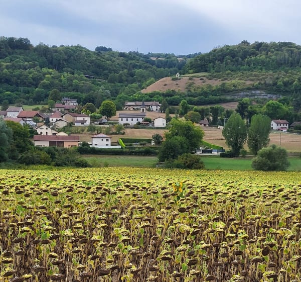 Petite balade Val de Virieu - Val-de-Virieu - 1