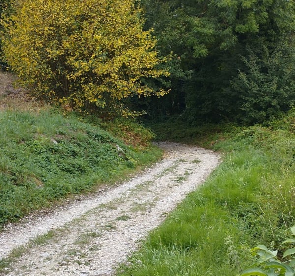 Boucle du réservoir - Saint-Gervais - 1