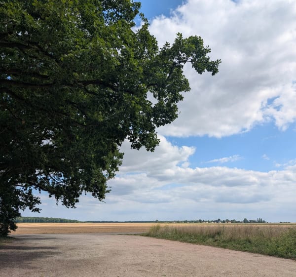 Vallée de Chevreuse - Chevreuse - 1