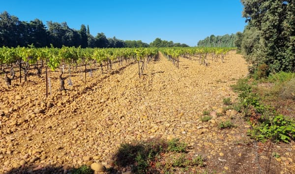 Châteauneuf-de-Gadagne et rando champêtre en père peinard - Châteauneuf-de-Gadagne - 1