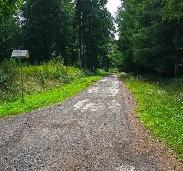 Randonnée à Porcelette - Porcelette - 1