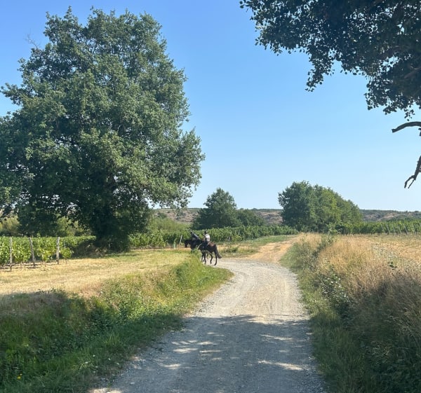 Boucle du pont barré à Val-du-Layon - Val-du-Layon - 1