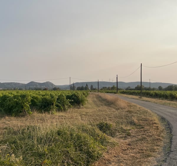 Marche du soir autour de Saint-Victor-la-Coste - Saint-Victor-la-Coste - 1