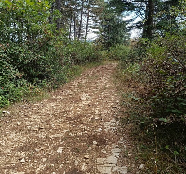 Farges direction les dessus de Rully - Emmanuel - 1