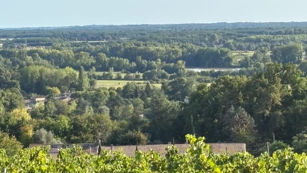 Île Raymond, Paillet, Lestiac - christian - 1