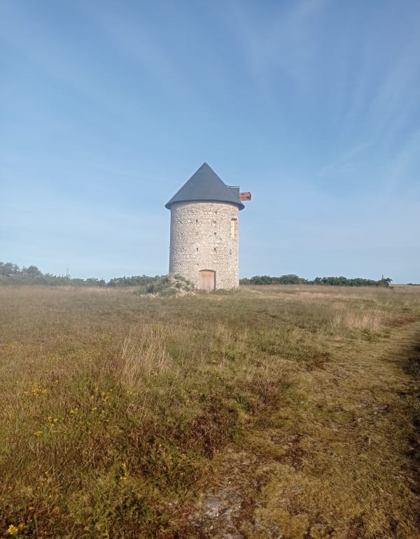 Le Mont de Doville - Magaly - 1