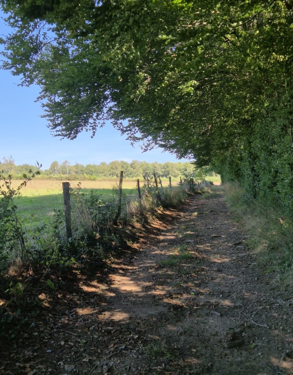 Sur le chemin de Castagné - KARINE - 1