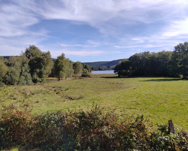 Saint-Agnan et zénitude au bord du lac - Saint-Agnan - 1