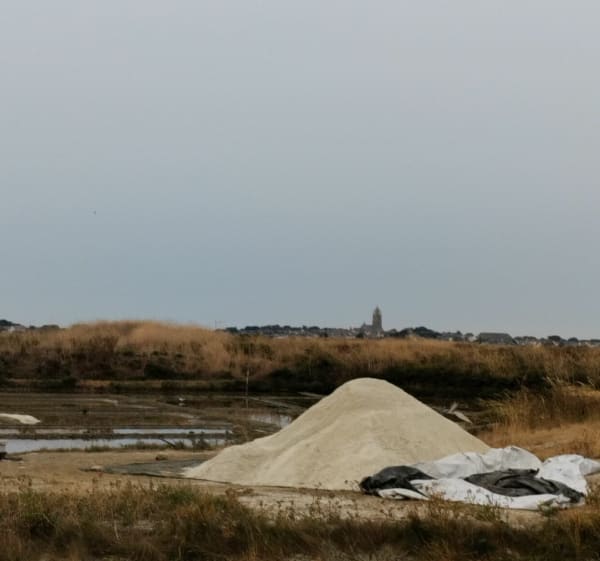 Pornicnet - Pointe du Croisic - La Baule-Escoublac - 1